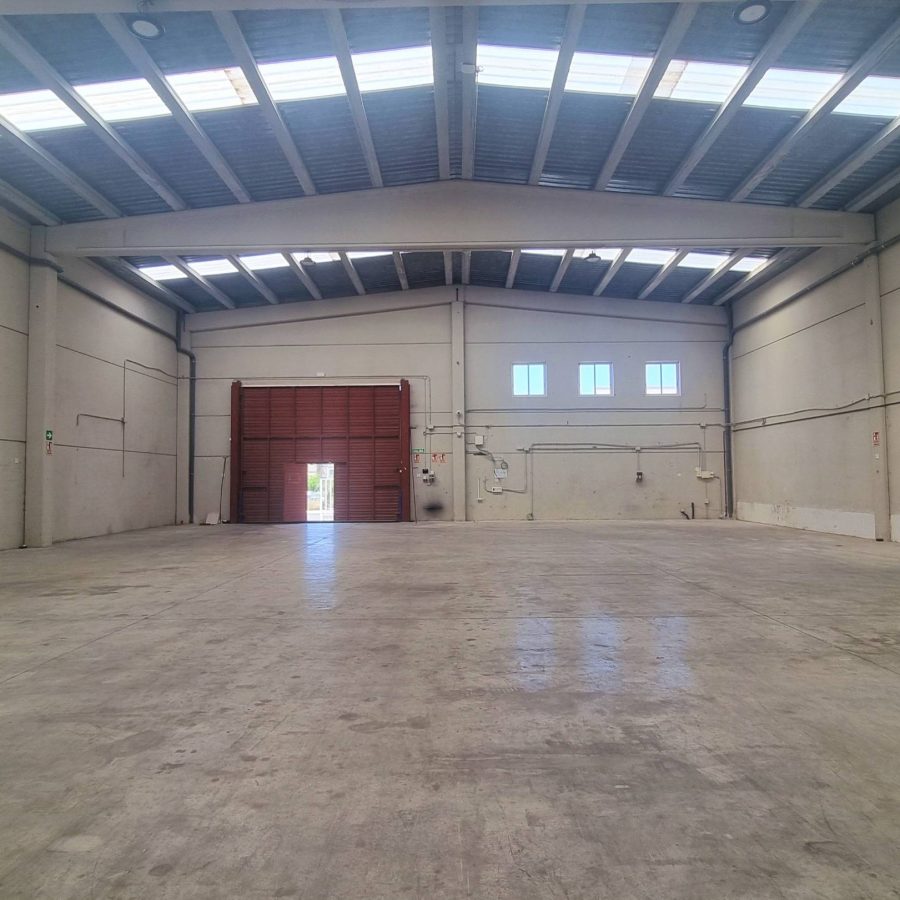 00655 - GRAN NAVE INDUSTRIAL EN ALQUILER