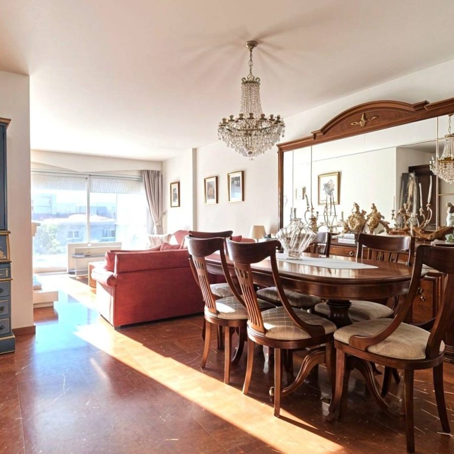 00732 - AMPLITUD, LUZ, TERRAZA Y PARKING EN PASEO PRIM